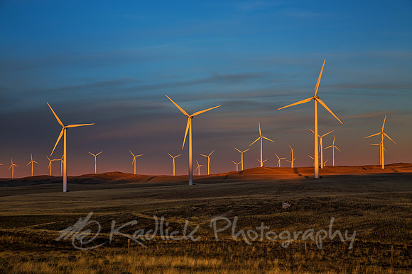 Last Light on the Farm