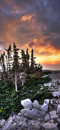 Treeset