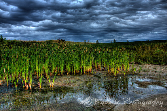 After the Rain