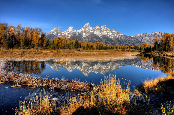 Grand Beaver Dam