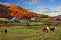 Landscapes