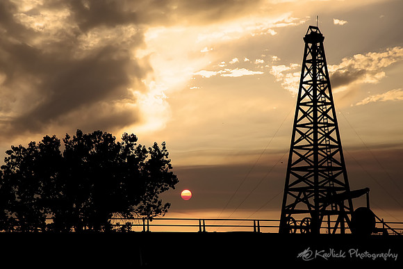 Oil