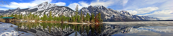 Jenny's Mirror
