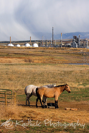 Wyoming Range