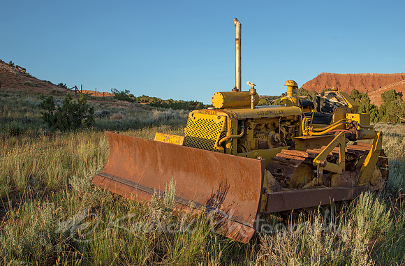 Prairie Cat