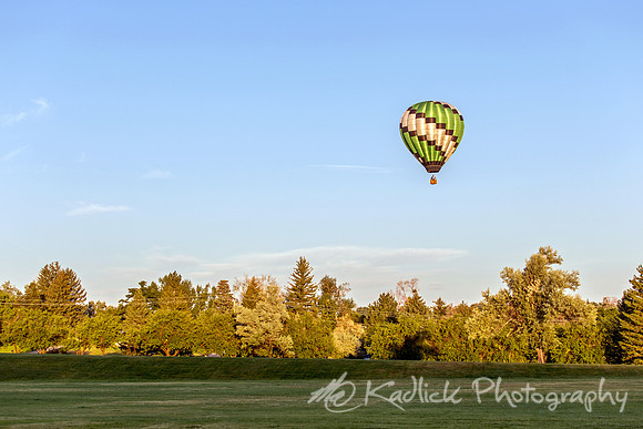 Treeline