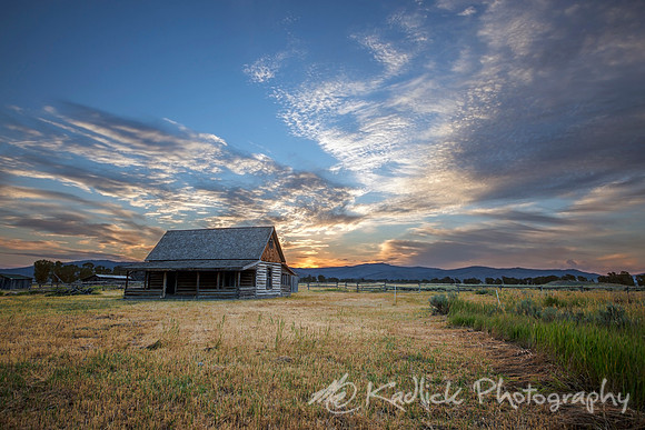 Homestead