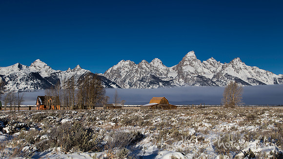 Home on the Range