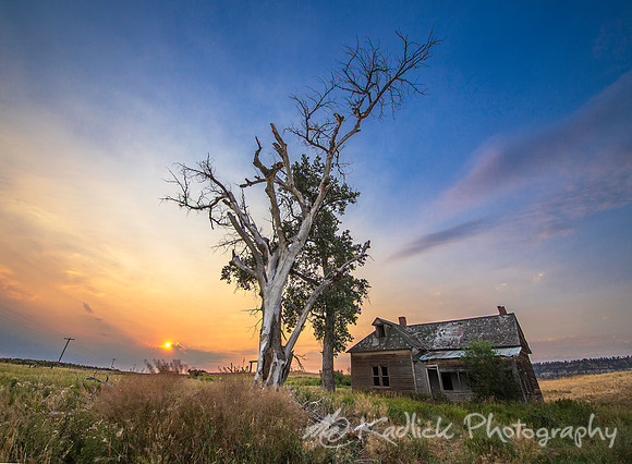 Homestead