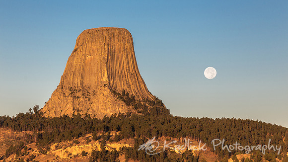 Moon Tower
