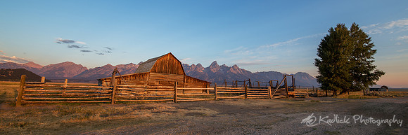 Fenced In